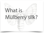 What is Mulbery Silk